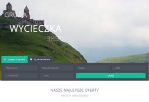 Travel offer search form